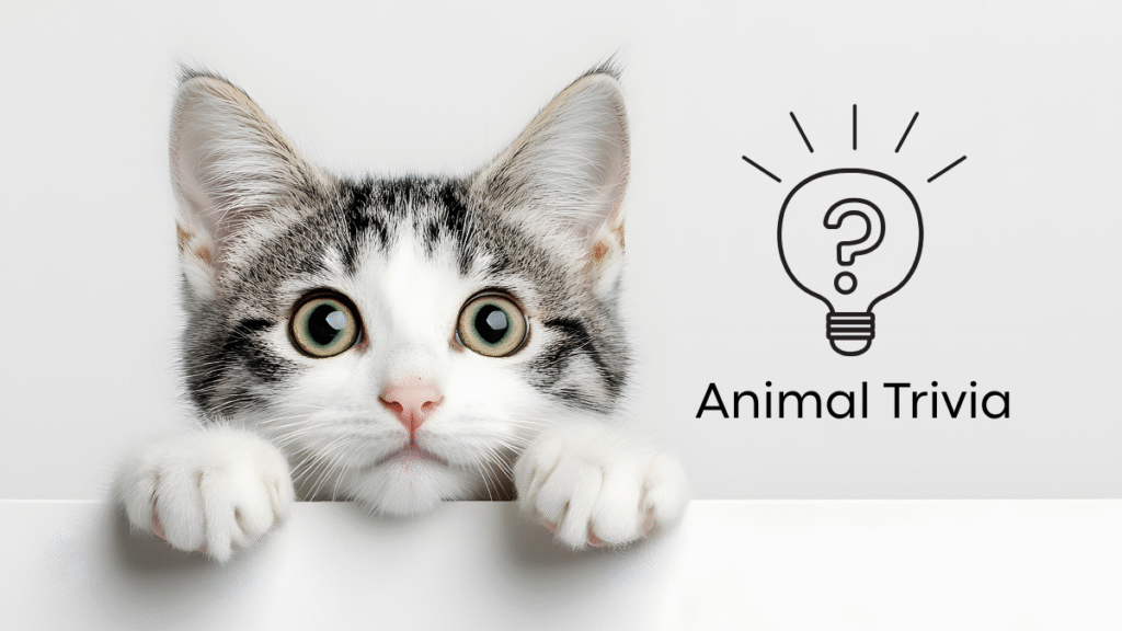 vet near me trivia for dog and cat owners in Madison AL