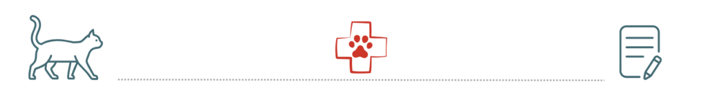 pet insurance support Heritage Animal Clinic Madison AL happy pet owner dog