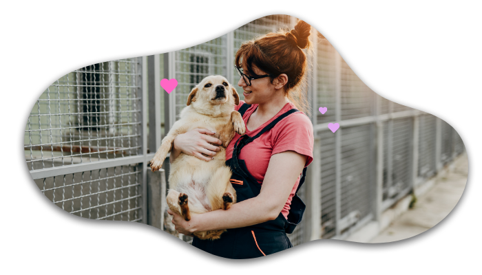 Shelter dog adoption supported by Heritage Animal Clinic in Madison, AL