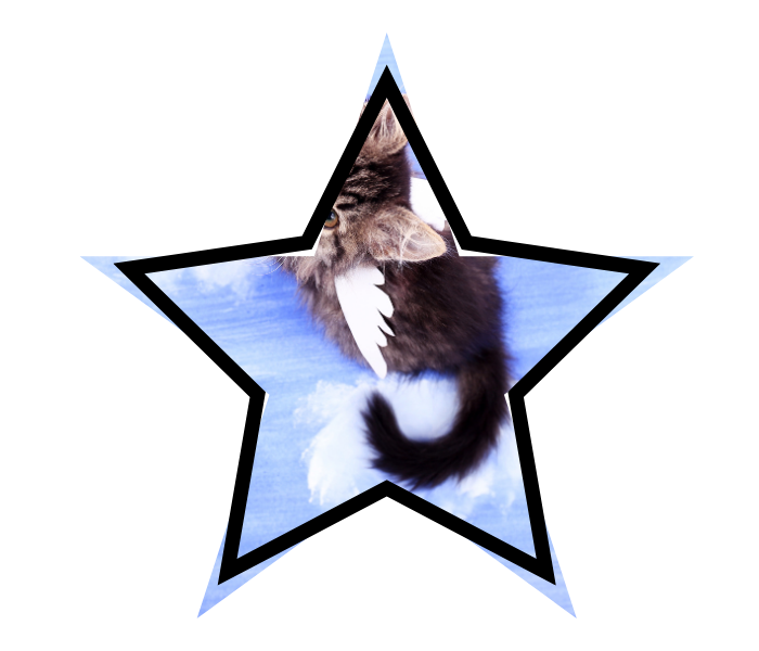 Mythical cat with wings representing pet care myths in Madison, AL.