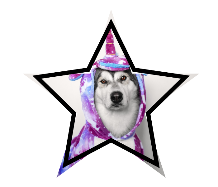 Dog wearing a unicorn costume promoting animal care education from Heritage Animal Clinic in Madison, AL.
