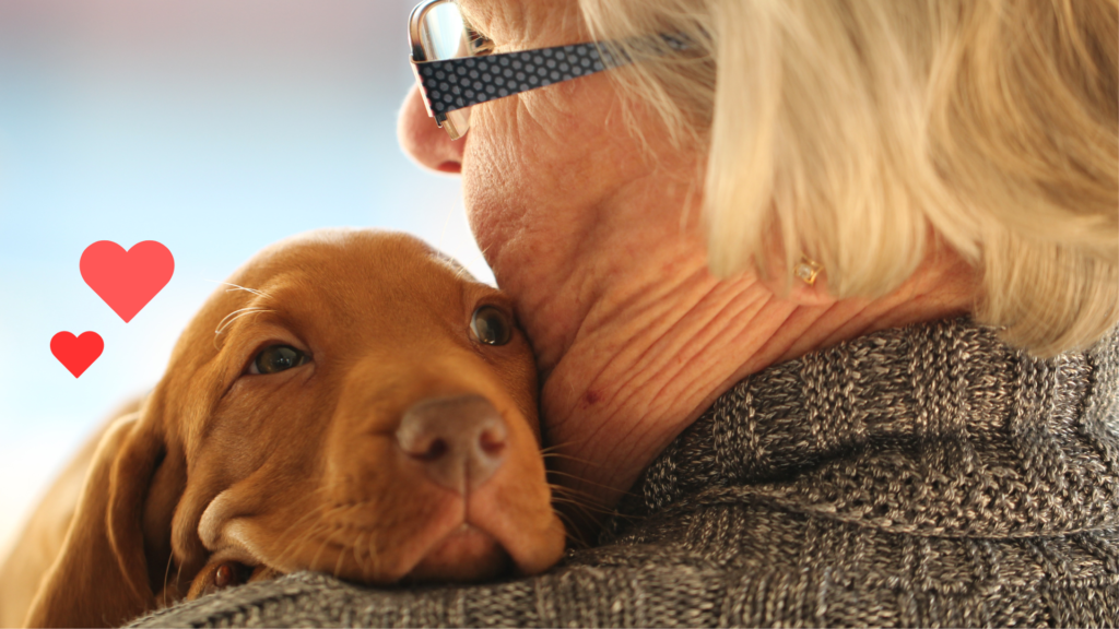 New puppy cuddling with its owner as they begin building a bond with support from Heritage Animal Clinic